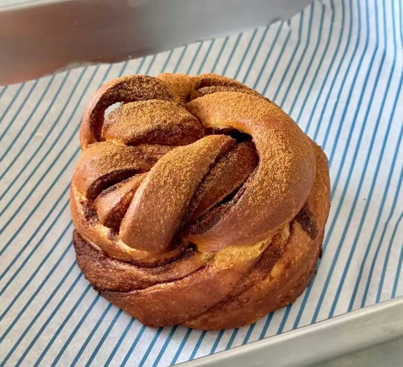 Cinnamon Roll